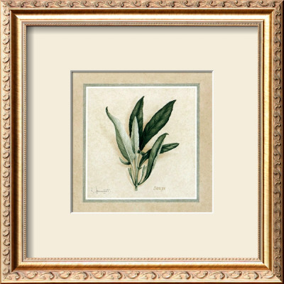 Herbes Iv by Vincent Jeannerot Pricing Limited Edition Print image