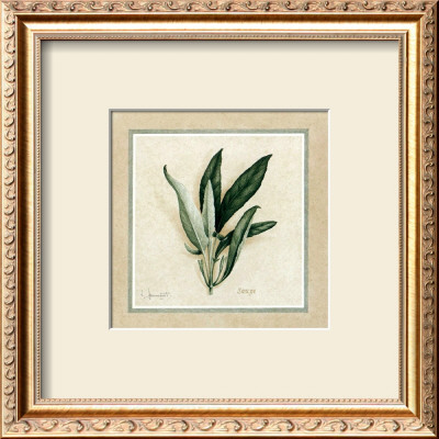 Herbes Iv by Vincent Jeannerot Pricing Limited Edition Print image
