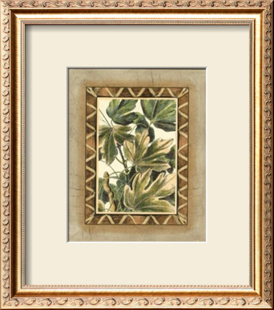 Rustic Maple I by Deborah Bookman Pricing Limited Edition Print image