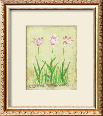 Rosy Tulips Ii by Debra Lake Pricing Limited Edition Print image