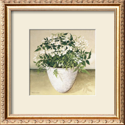 White Jasmine by Galley Pricing Limited Edition Print image
