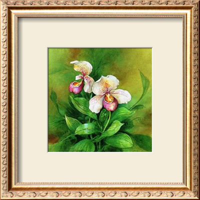 Exotic Blooms Ii by Carolyn Shores-Wright Pricing Limited Edition Print image