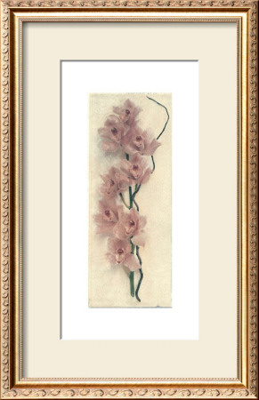 Orchid With Branch by Julie Nightingale Pricing Limited Edition Print image