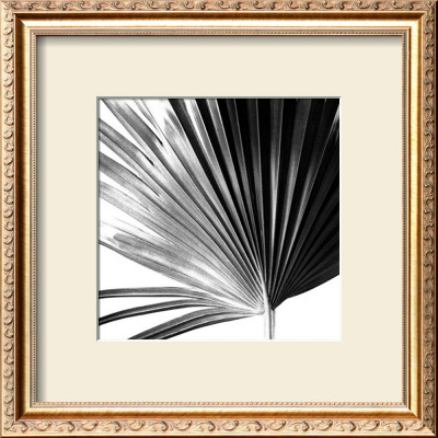 Black And White Palms Iv by Jason Johnson Pricing Limited Edition Print image