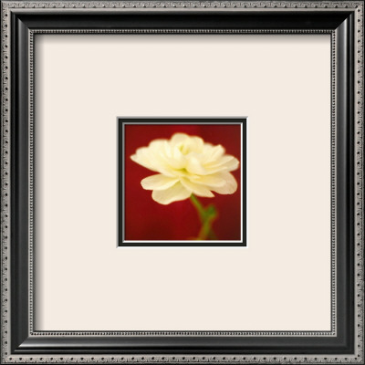 Ivory On Red by Jane Ann Butler Pricing Limited Edition Print image