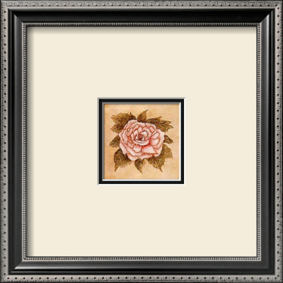 Blush Peony by Mary Hughes Pricing Limited Edition Print image