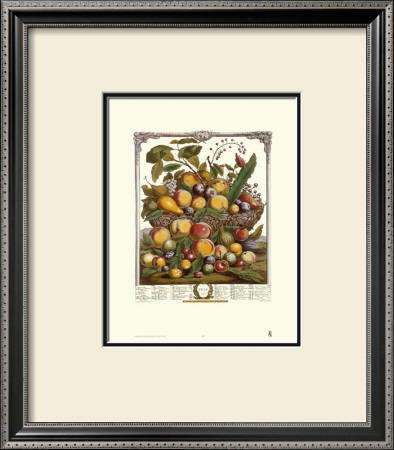 Twelve Months Of Fruits, 1732, July by Robert Furber Pricing Limited Edition Print image