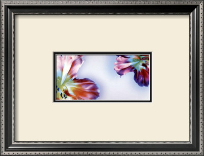 Floral Fantasy I by Frauke Meszaros Pricing Limited Edition Print image