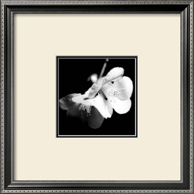 Quince Blossoms I by Renee Stramel Pricing Limited Edition Print image