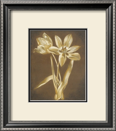 White And Brown Flowers by Stela Klein Pricing Limited Edition Print image