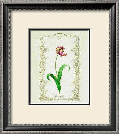 Parrot Tulip by Eva Komura Pricing Limited Edition Print image