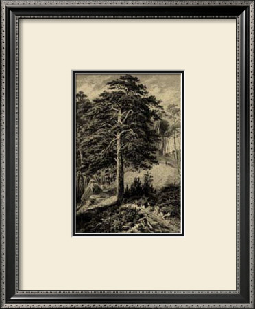 Wild Pine by Ernst Heyn Pricing Limited Edition Print image