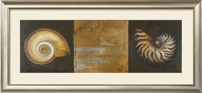 Seashells I by Patricia Quintero-Pinto Pricing Limited Edition Print image