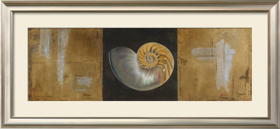 Seashells Ii by Patricia Quintero-Pinto Pricing Limited Edition Print image