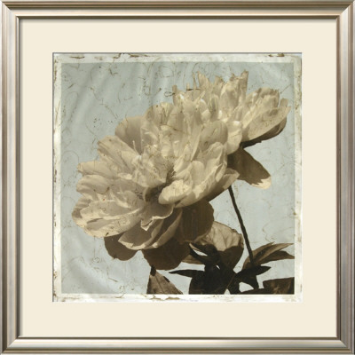 Antiqued Floral And Sky I by Megan Meagher Pricing Limited Edition Print image