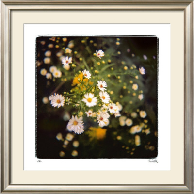 Starburst by Rebecca Tolk Pricing Limited Edition Print image