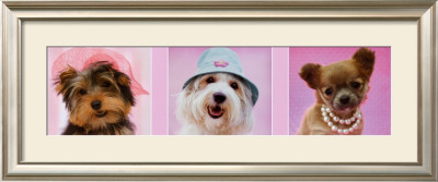 Canine Cuties by Rachael Hale Pricing Limited Edition Print image