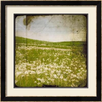 Field I by Ingrid Blixt Pricing Limited Edition Print image
