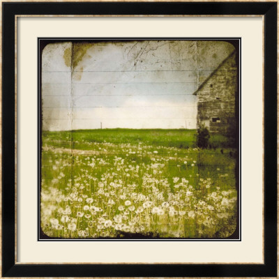 Field Ii by Ingrid Blixt Pricing Limited Edition Print image