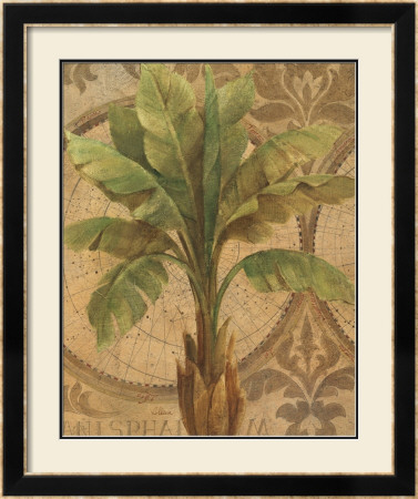 Decorative Palm I by Albena Hristova Pricing Limited Edition Print image