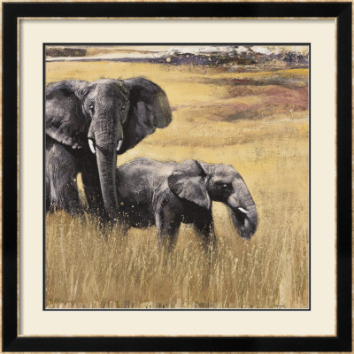 Taranguire by Emmanuel Michel Pricing Limited Edition Print image