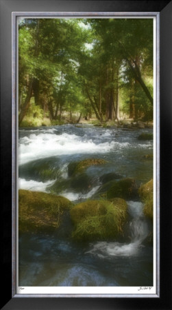 Serenity Stream Ii by Joy Doherty Pricing Limited Edition Print image