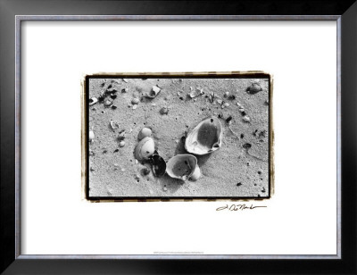 Sand Treasures Iv by Laura Denardo Pricing Limited Edition Print image