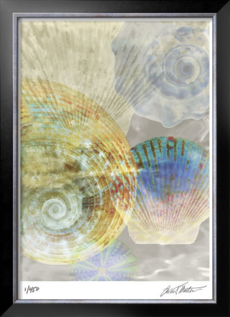 Shell Suite Iii by Robert Mertens Pricing Limited Edition Print image