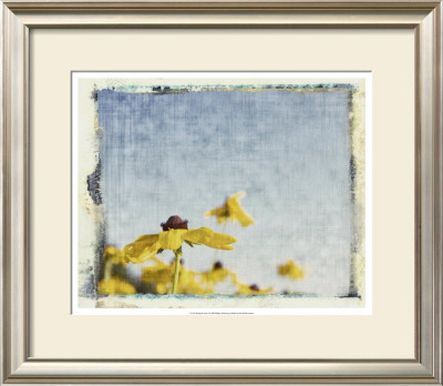 Blackeyed Susans I by Meghan Mcsweeney Pricing Limited Edition Print image