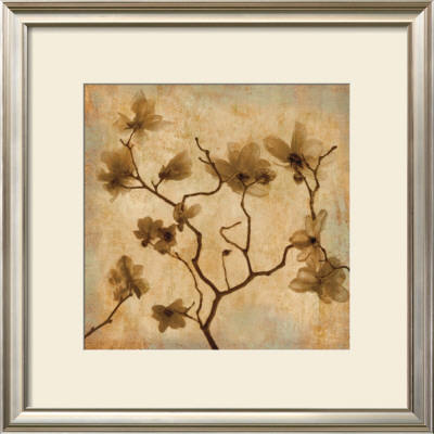 Magnolias I by Caroline Kelly Pricing Limited Edition Print image