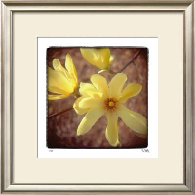 Yellow Magnolia by Rebecca Tolk Pricing Limited Edition Print image