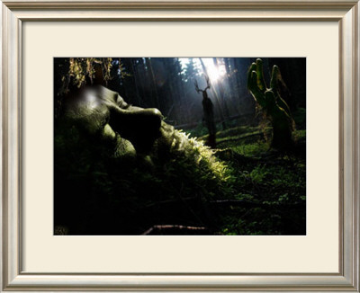 Awakening by Ben Baldwin Pricing Limited Edition Print image