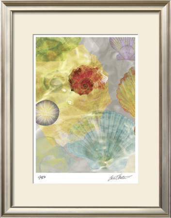 Shell Suite I by Robert Mertens Pricing Limited Edition Print image