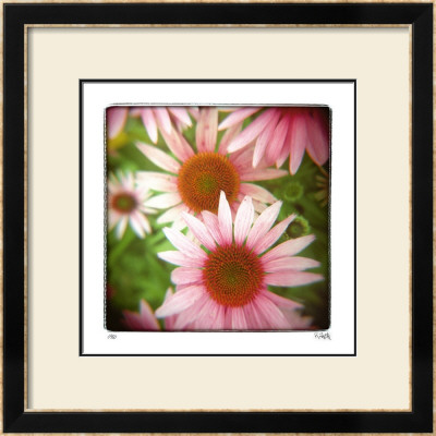 Pink by Rebecca Tolk Pricing Limited Edition Print image