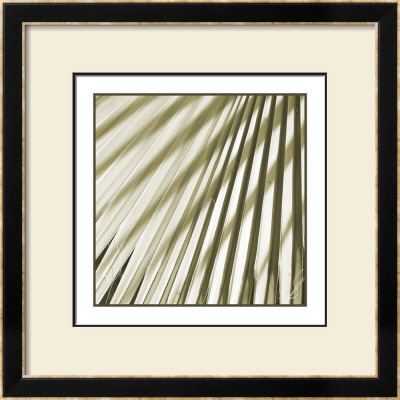 Palm Study I by Studio El Collection Pricing Limited Edition Print image