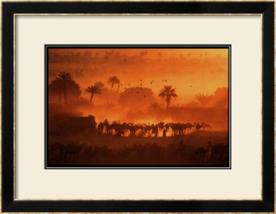 Fachi Oasis, Niger by Jean-Luc Manaud Pricing Limited Edition Print image