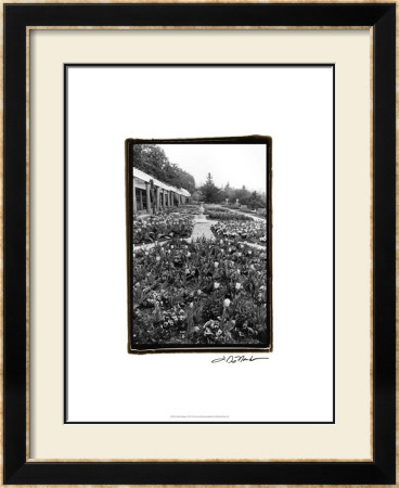 Garden Elegance Viii by Laura Denardo Pricing Limited Edition Print image