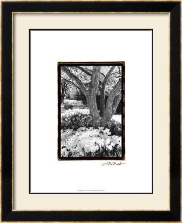 Springtime Garden Vi by Laura Denardo Pricing Limited Edition Print image