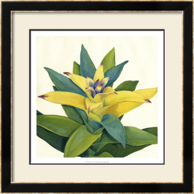 Tropical Bloom Ii by Megan Meagher Pricing Limited Edition Print image