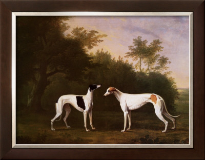 Two Greyhounds In A Landscape by John Boultbee Pricing Limited Edition Print image