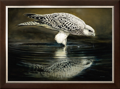 Drinking Falcon by Renato Casaro Pricing Limited Edition Print image