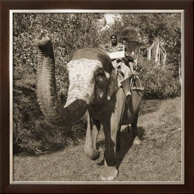 Man Riding Elephant by Nelson Figueredo Pricing Limited Edition Print image