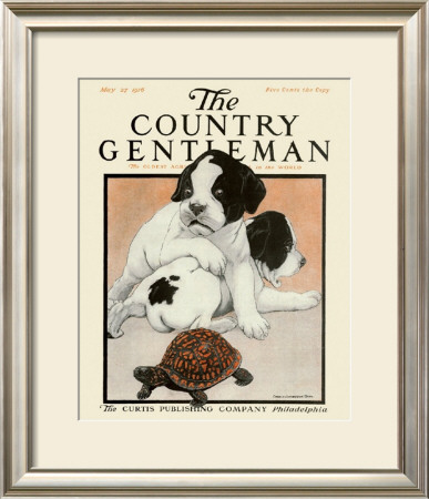 Puppies And The Turtle, C.1916 by Charles Livingston Bull Pricing Limited Edition Print image