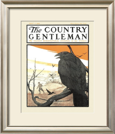 Perched Crow, C.1919 by Charles Livingston Bull Pricing Limited Edition Print image