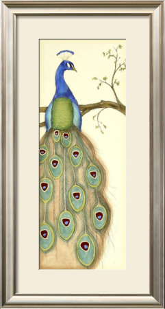 Rebecca's Peacock I by Jennifer Goldberger Pricing Limited Edition Print image