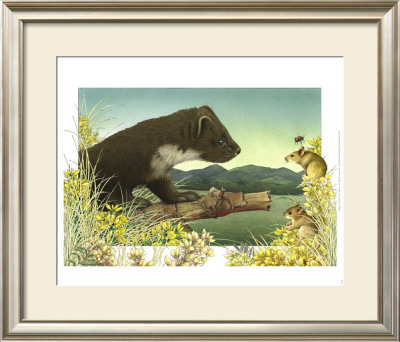 Pinemartin And Mice by Alan Baker Pricing Limited Edition Print image