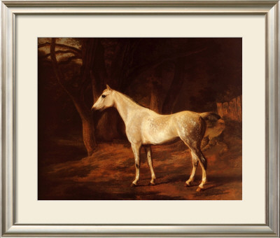 Forest Dapple by Jacques-Laurent Agasse Pricing Limited Edition Print image