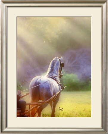 Rays Of Light by Suzanne Sturgill Pricing Limited Edition Print image
