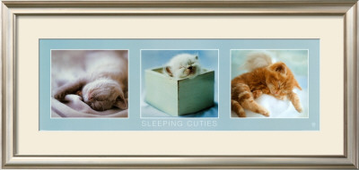 Sleeping Cuties by Rachael Hale Pricing Limited Edition Print image