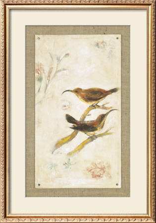 Long-Billed Sunbird by Jillian David Pricing Limited Edition Print image